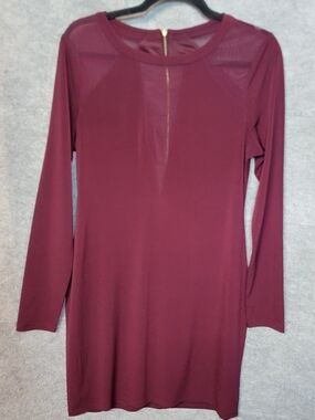 Express Long Sleeve Mini Dress